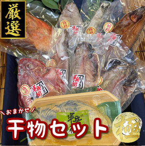 厳選！小田原の旬の干物セット 極【 まぐろや 神奈川県小田原市 干物 干物 干物  干物 干物】
