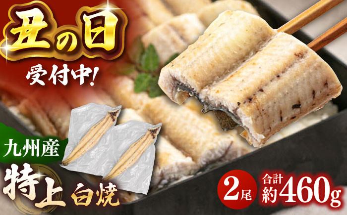 
            【土用丑の日 受付中！】鹿児島産 うなぎ 白焼 2尾セット ▼国産 鰻 ウナギ 白焼き 特大 本格 有頭 九州産 丑の日  桂川町/山水商事 [ADAH009]
          