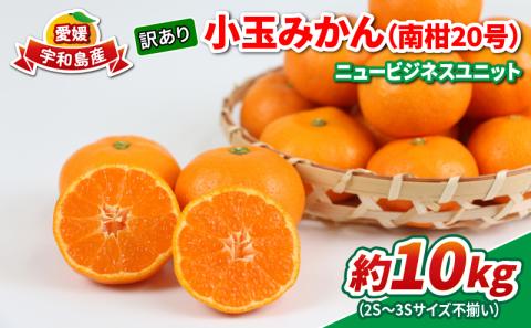 訳あり 小玉みかん 南柑20号 10kg 2S ～ 3S サイズ不揃い 玉津みかん ニュービジネスユニット 中生 温州みかん 温州 小玉 みかん 小みかん 果物 くだもの フルーツ 柑橘 蜜柑 農家直送 産地直送 数量限定 国産 愛媛 宇和島 B012-058015