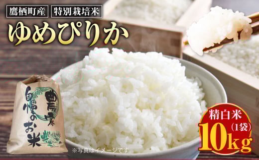 【令和7年産】ゆめぴりか（精白米） 10kg 北海道 鷹栖町 米 コメ ご飯 精白米 お米 ゆめぴりか 【2025年9月下旬より発送予定】