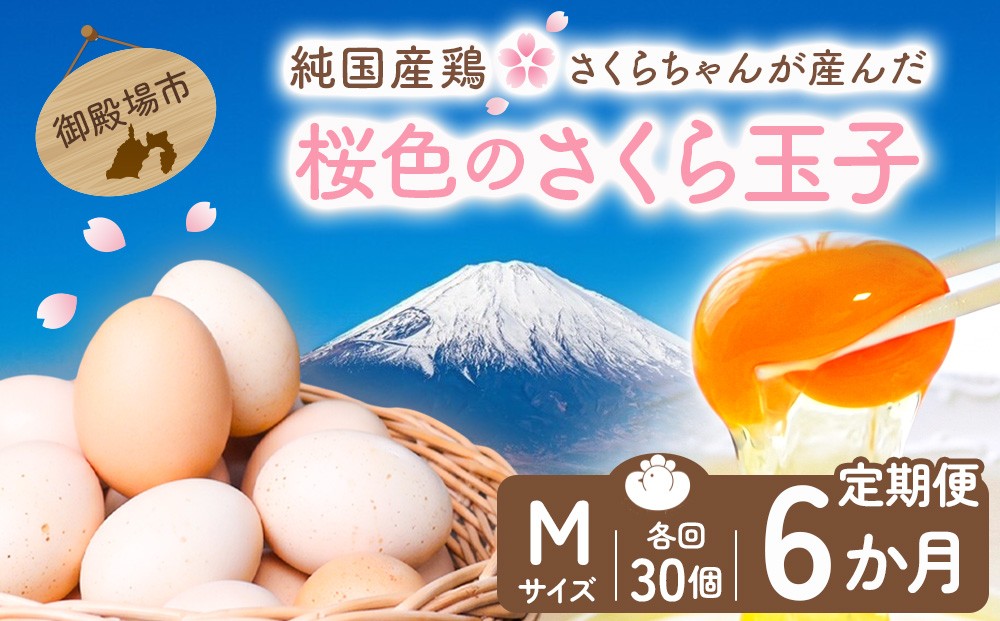 
【定期便6ヵ月】純国産鶏さくらちゃんが産んだ桜色のさくら玉子 五分咲き（Mサイズ）30個 ｜ 卵 鶏卵 たまご タマゴ 生卵 たまごかけご飯 濃厚 甘み 国産
