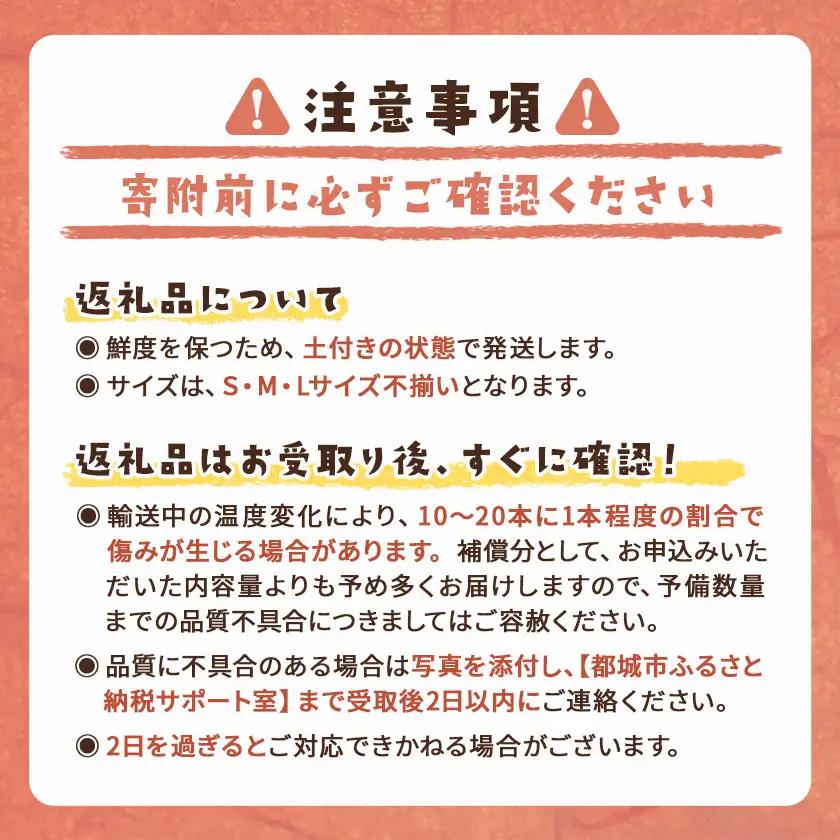 【5回お届け!】都城産 長期熟成紅はるか 3kg 定期便〔TLE5-I201〕_(都城市) 都城産 さつまいも 熟成紅はるか 秀品 3kg サイズ未選別 S～L 