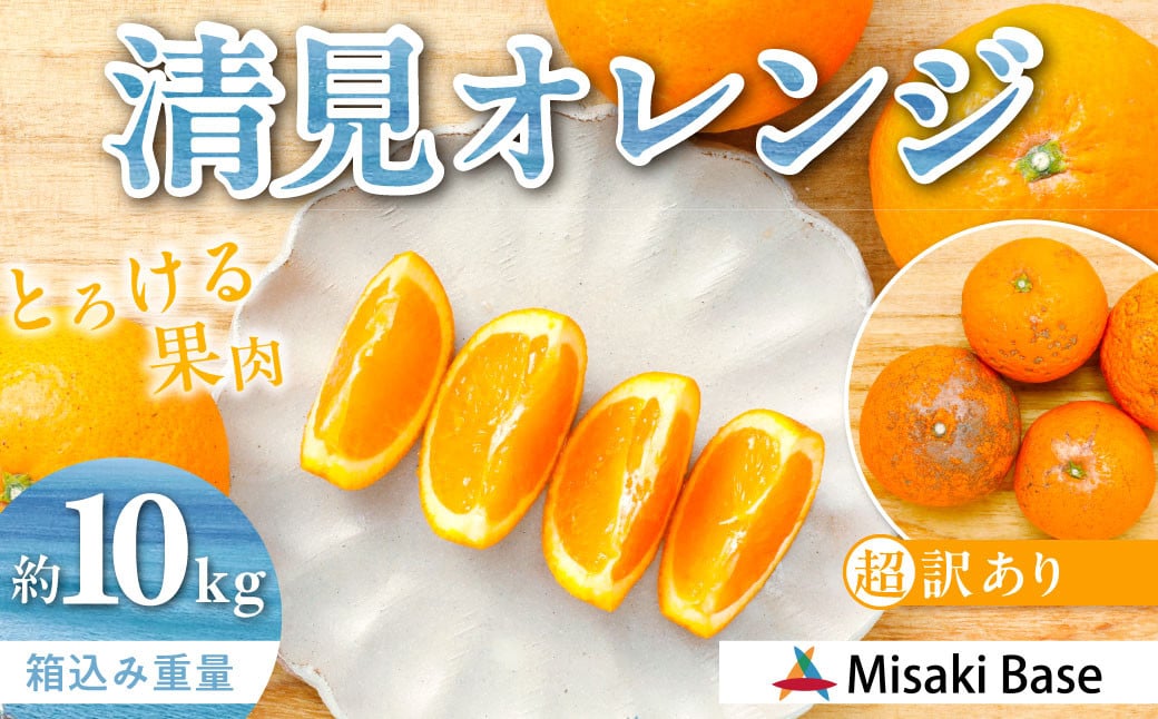 
            【先行受付】【※超訳あり】清見オレンジ 10kg ※離島への配送不可（2026年3月中旬より順次発送）  【 ふるさと納税 人気 おすすめ ランキング みかん 柑橘 ミカン 蜜柑 mikan 果物 清見 清見オレンジ フルーツ 糖度 甘い きよみ タンゴール 温州 オレンジ 家庭用 おすそ分け 訳あり Misaki Base 愛媛県 伊方町 送料無料 】 IKTAB010 
          