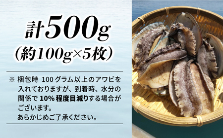 国産養殖アワビ 活き！壱岐！アワビ 計500g（約100g×5枚）《壱岐市》【住吉水産】アワビ 鮑 養殖 貝 海産物 魚介 魚貝 産地直送 お刺身 冷蔵発送[JDQ007]