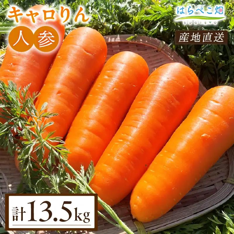 人参『キャロりん』（4.5kg×3箱）合計13.5kg・H110-240