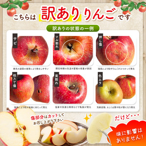 訳アリ　シナノスイート　3㎏　（9～12玉）｜ シナノスイート 林檎 りんご 長野県 松本市 果物 フルーツ ふるさと納税