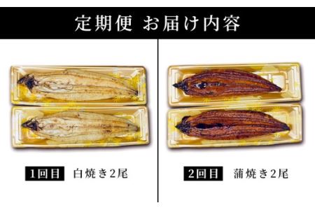 【到着日指定可能】九州産うなぎ白焼き2尾・蒲焼き2尾の2回定期便♪焼きたて直送！！YS0010