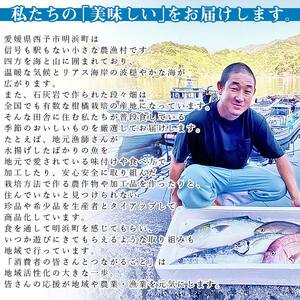 ＜漁師直送 新鮮お魚の詰め合わせ＞ 魚 さかな つめあわせ お楽しみ 8種以上 麹漬け 切り身 おかず おつまみ 下処理済み 簡単 海鮮 海産物 海鮮セット サワラ 明浜町産 二ノ宮商事株式会社 愛媛