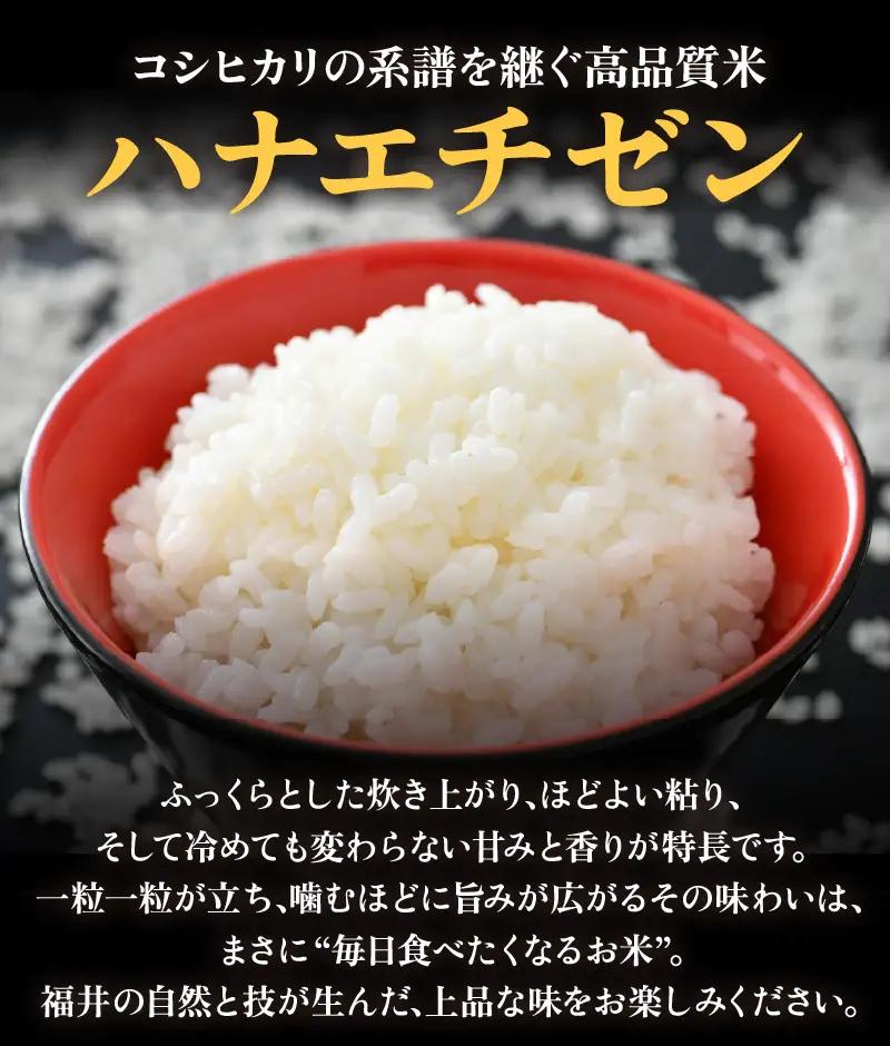 【先行予約】【令和8年産 新米】エコ栽培ハナエチゼン  白米5kg×12回 計60kg ／ 鮮度抜群 福井県産 はなえちぜん ご飯 新鮮 白米 ※2026年9月上旬以降順次発送予定 [aw063-k0