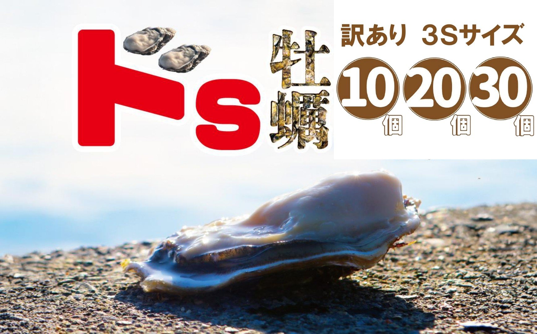 
            【佐々木商店の米崎牡蠣】 殻付き ドS牡蠣 個数が選べる 10個～30個 不揃い 訳あり 事業者支援 【 かき 牡蠣 三陸産牡蠣 BBQ バーベキュー 鍋 炊き込みご飯 カキフライ 岩手 陸前高田市 】 RT3266
          