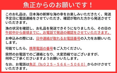 〈期間限定〉越後 本ズワイガニ 大 800g前後×2杯  姿 糸魚川産 浜茹で 鮮度が命！茹でたて直送 ギフトにも おススメ!! ずわいがに かに カニ 蟹 魚正 国産 日本海 新潟県 