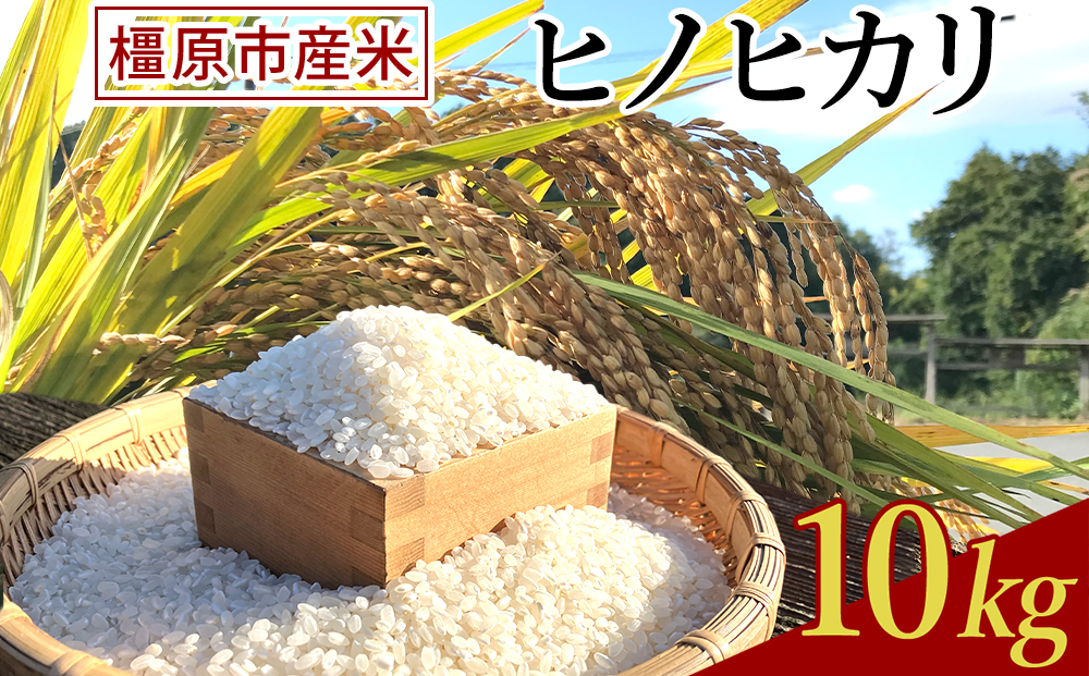 令和7年度橿原市産米 ヒノヒカリ 10㎏