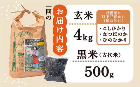 【12回定期便】平戸の健康 玄米 4kg・黒米 500g【エコファーム永田】[KAB177]/ 長崎 平戸 玄米 米 黒米 こしひかり コシヒカリ なつほのか ひのひかり ヒノヒカリ 定期便