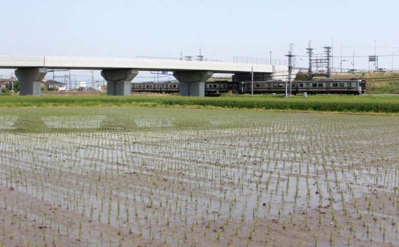 100年続く田中農園のうまい米 夢つくし 「田中茂米」 精米 5kg 米 お米