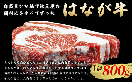 ＜熟成肉 はなが牛リブロースブロック約800g（800g×1個）＞ 牛肉 ステーキ 鉄板焼き 焼き肉 国産 塊肉 かたまり 霜降り しもふり バーベキュー BBQ キャンプ アウトドア 特産品 ゆうぼ