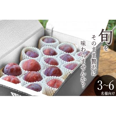 ふるさと納税 甲州市 【先行予約2026年】甲州市産 貴陽 3kg(12〜15個入)