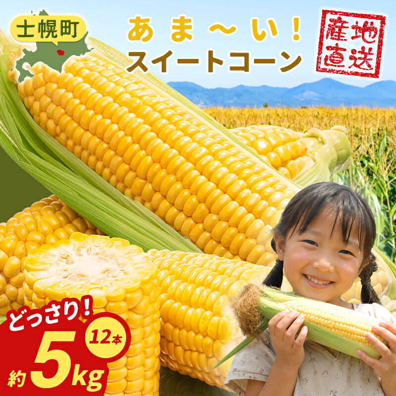 【ふるさと納税】《期間限定》北海道 士幌産 とうもろこし 12本 (2026年8月上旬～発送開始予定) 約5kg スイートコーン 採れたて コーン 期間限定 新鮮 野菜 産地直送 産直 お取り寄せ 送料無料 十勝 士幌町 10000円