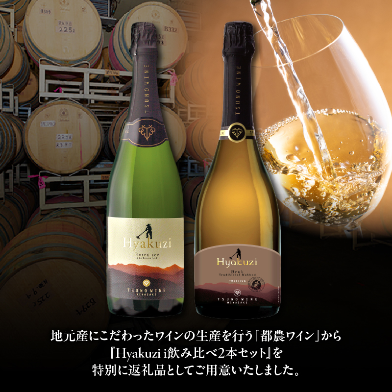 Hyakuzi飲み比べ2本セット 酒 飲料 アルコール 国産_T014-0367【人気 ギフト 食品 お酒 BBQ お土産 贈り物 送料無料 プレゼント】