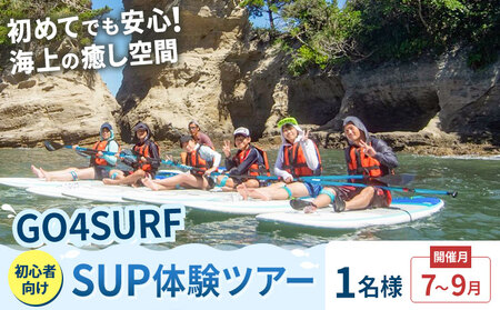 初心者向けSUP体験ツアー 1名様 7-9月 GO4SURF《30日以内に出荷予定(土日祝除く)》千葉県 勝浦市 マリンアクティビティ体験 マリンスポーツ 海 SUP サップ 初心者向け 初心者 体験 6歳から可能
