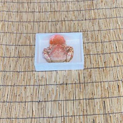 ふるさと納税 根室市 毛かに400g〜550g前後×1尾・いくら100g×1P C-76035 |  | 01