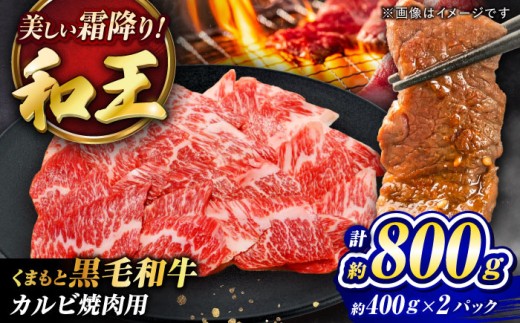 くまもと黒毛和牛 ｢和王｣ カルビ焼肉用 計約800g (約400g×2パック) /  カルビ焼肉400g 黒毛和牛 牛肉 牛 高級 肉 お肉 にく 国産牛 国産 和牛 熊本県 菊陽町【菊池地域農業協同組合】 [BHBQ011]
