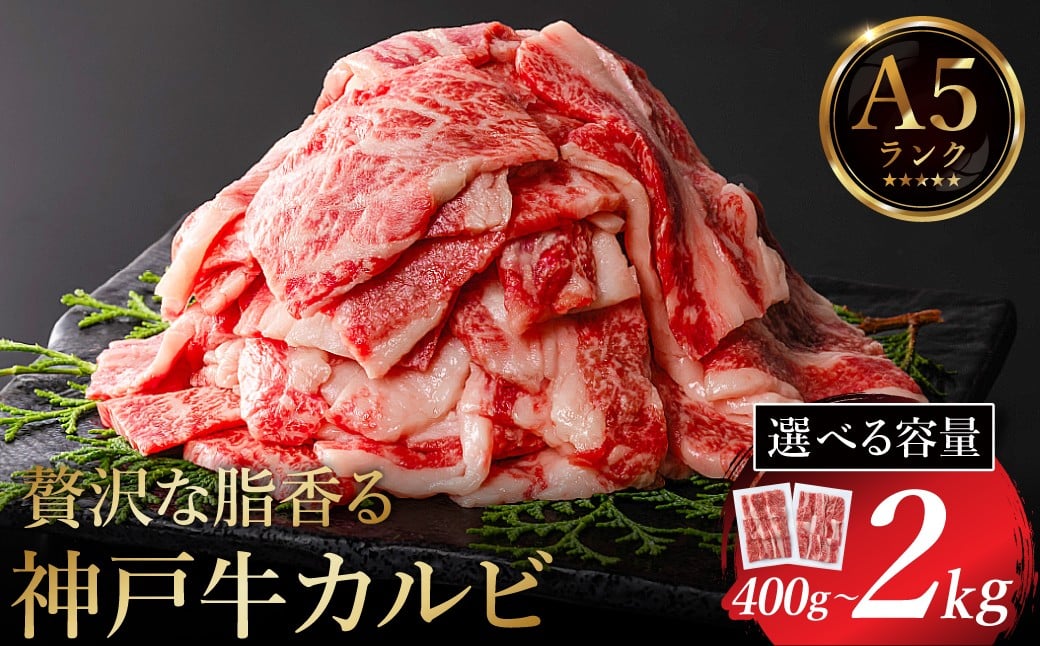 
            神戸牛 焼肉用カルビ 量が選べる（400g・600g・800g）/ A5ランク 牛肉 焼肉 カルビ 肉 焼き肉カルビ 小分け 牛カルビ バラ ばら肉 焼き肉 密着包装 霜降り バーベキュー 冷凍 国産牛 ブランド牛 黒毛和牛 神戸ビーフ 化粧箱入り ギフト【帝神志方ミート】
          
