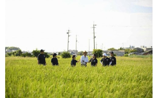 【先行予約】Premium水なすセット【新鮮 野菜 泉佐野産 茄子 やさい 高評価 数量限定】 020C066