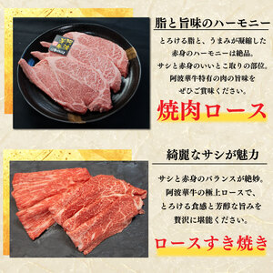 黒毛和牛 牛肉 定期便 5回 和牛 ぎゅうにく 肉 にく 牛 ぎゅう