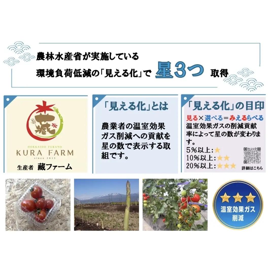 【2027年5月より発送】北海道 富良野市産 アスパラ 緑 約1.5kg (75～105本前後) 朝どり 露地 グリーン アスパラガス 詰め合わせ 野菜 新鮮 数量限定 先着順【藏ファーム】