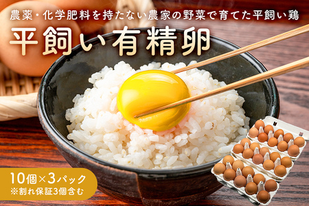 【先行受付 2026年11月上旬～2027年4月下旬発送予定】有精卵　10個×3パック（割れ保証3個含む）農薬・化学肥料を持たない農家の野菜で育てた平飼い鶏 mi0036-0001