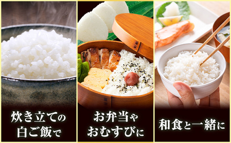 米 白米 コシヒカリ 5kg 令和7年産 都呂々みかん生産者グループ 精米