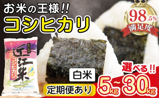 
                  令和7年産 近江米 こしひかり コシヒカリ 5kg / 10kg / 定期便 選べる 国産 滋賀県産 白米 精米 お米 とらわか 【TSKU1】 コメ 贈答 滋賀県 近江八幡市
                