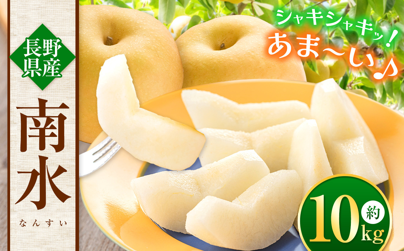 
                  【先行予約：2026年9月発送】信州生まれの優れもの！糖度１５度。超甘い、シャリ感、硬い、ジューシー、日保ちする「南水（なんすい）」10ｋｇ｜ 梨 なし 南水 なんすい 長野県 松本市 果物 フルーツ 信州産 ふるさと納税
                
