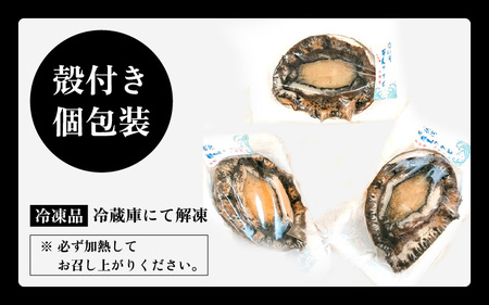 日本海若狭湾の天然黒アワビ 約500g（2～5個） あわび アワビ 鮑 クロアワビ 黒あわび 冷凍・加熱用【 2024年8月31日まで発送】[m17-b001]