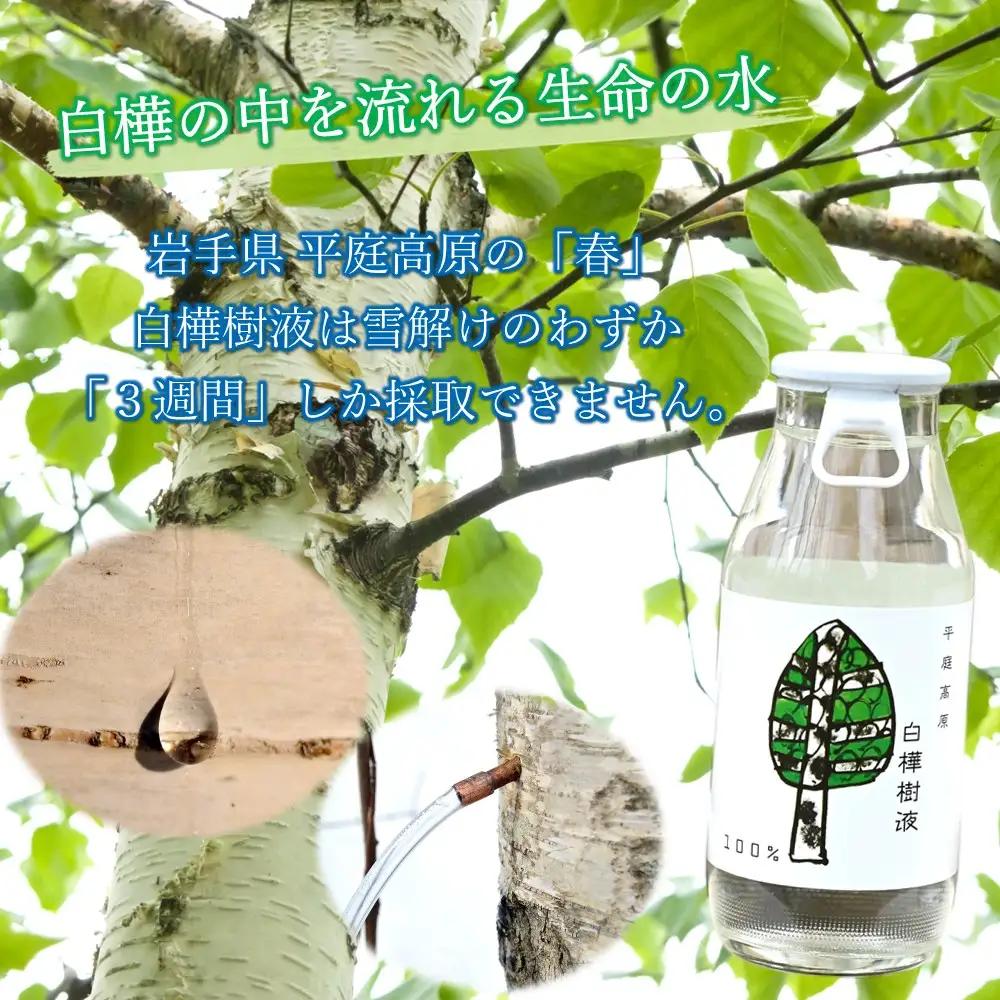 飲む 白樺樹液 100％ドリンク30本 白樺樹液