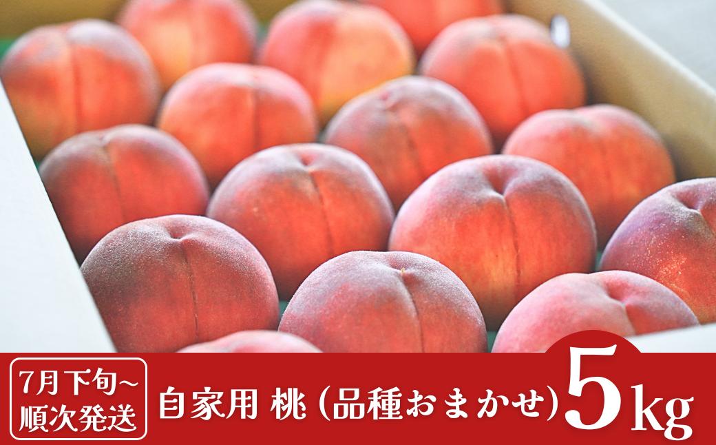 
            先行予約 桃 自家用 約5kg (11～18個入)  [2025年発送分] 令和7年産 新潟フルーツ 新潟県産桃 [石田フルーツガーデン] 【011P012】
          