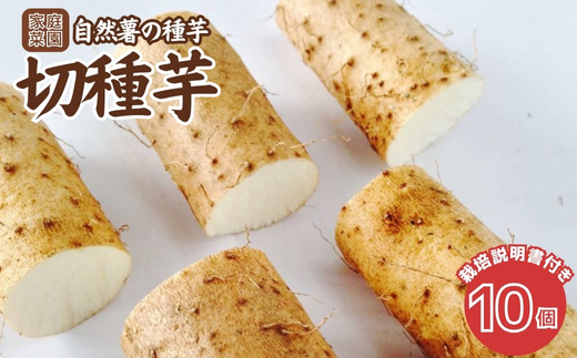 自然薯の種芋「切種芋」10個 自然薯 種芋 家庭菜園 那須町 〔B-48〕 ※2025年3月中旬頃より順次発送予定