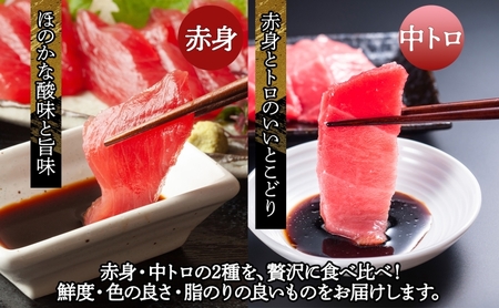 国産天然本マグロの赤身・中トロセット　C-03