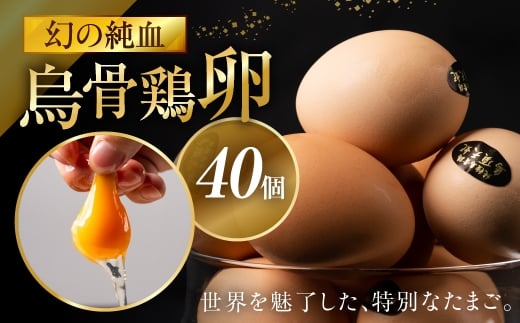 烏骨鶏卵 モールド 40個セット (10個入 × 4パック) たまご 卵 玉子 鶏 高級 高級卵