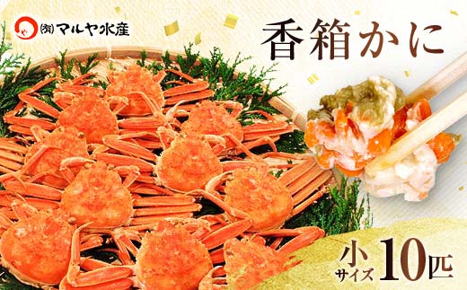 石川県産 香箱蟹 せいこ 小サイズ 10匹 詰合せ 11月10日～12月15日発送 F6P-2768