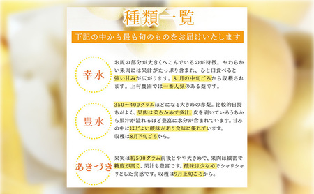 浜松市産 梨 約5kg 10〜16玉入り なし フルーツ 果物 静岡 浜松市【配送不可：離島】