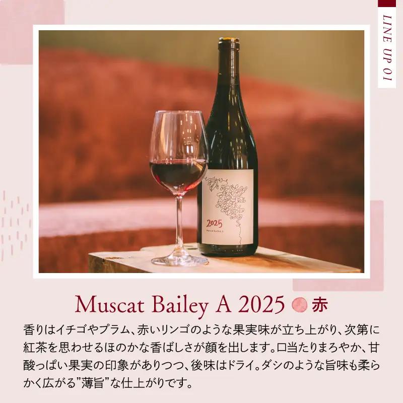 ワイン 2025 赤オレンジ 2本飲み比べセット 各750ml ワイン ka019-316j-2025