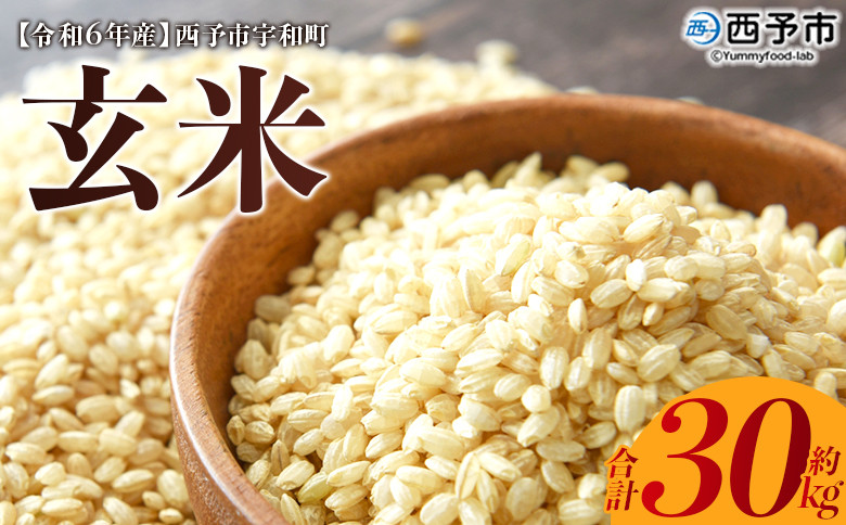 
            令和7年産　西予市宇和町産　玄米30kg
          