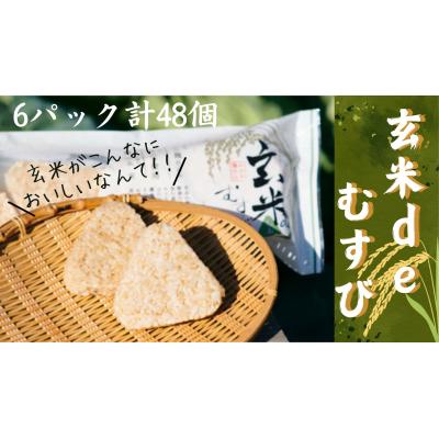 ふるさと納税 小山町 玄米deむすび　6パック