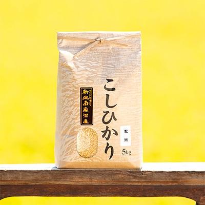 ふるさと納税 南魚沼市 【令和8年産 新米】南魚沼産コシヒカリ(玄米)【5kg】新潟県の特A地区南魚沼市の美味しいお米