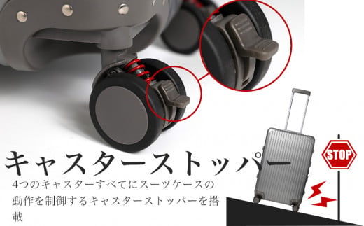 [PROEVO] アルミスーツケース フレームキャリー 機内持ち込み対応サイズ S(ジオメトリック/ブラック) [30001] 福岡県 大木町 株式会社 レクサス AY326