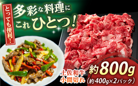 高知 土佐和牛小間切れ 約800g(約400g×2パック) / 高知 お肉 牛肉 牛 贈答 ギフト 贅沢 【焼肉寛十郎】[ATDO012]