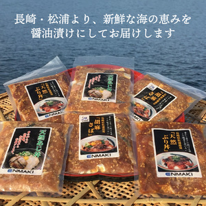 【B0-169】海の幸　海鮮醤油漬けセット （海鮮丼 海鮮醤油漬け 漬け 魚介類 魚介 アジ あじ 鯵 サバ さば 鯖 ブリ ぶり 鰤 魚 海産物 海の幸 あじ丼 ぶり丼 胡麻さば 漬け丼 海鮮 魚 