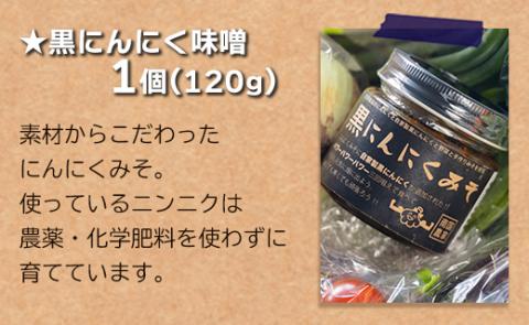 農薬不使用のお野菜8品と黒にんにく味噌のセット - やさい 8種類 ニンニク  みそ ミソ ご飯のお供 おかず 調味料 お任せ おたのしみ 旬 季節品 国産 特産品 高知県 香南市 pr-0012