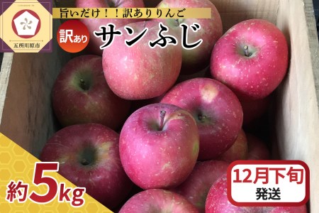 【2024年12月下旬発送】 【訳あり】 りんご サンふじ 5kg 青森